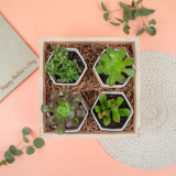 Moederdagcadeaus gepersonaliseerd |  Gepersonaliseerde cadeaus voor mama – Shadow Breeze